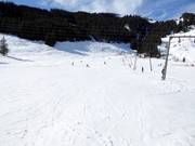 Gemakkelijke piste bij de Pass Thurn