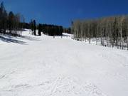 Afdaling bij Arrowhead Mountain