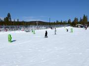 Tip voor de kleintjes 