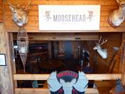 Moosehead Bar in Abom