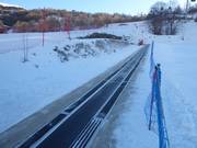 Biolley 2 - Transportband