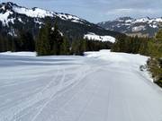 Gemakkelijke familiewedafdaling