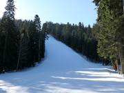 Zwarte piste Martinovi baraki 4