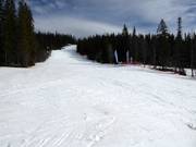 Gemakkelijke piste Järvbacken