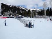 Tip voor de kleintjes 