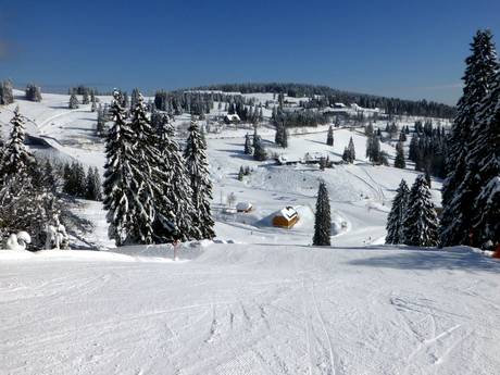 Hochschwarzwald: Grootte van de skigebieden – Grootte Feldberg – Seebuck/Grafenmatt/Fahl