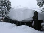 Veel natuursneeuw in Brighton