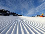 Perfecte pistepreparatie in het skigebied Wildhaus