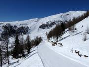 Trogalmseen afdaling