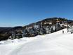 Australische Alpen: accomodatieaanbod van de skigebieden – Accommodatieaanbod Mount Hotham