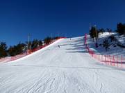 Piste 4 (FIS)