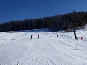 Sonnenlifthelling voor beginners