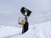 Sneeuwkanonnen in Brighton