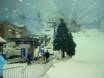 Verenigde Arabische Emiraten: Grootte van de skigebieden – Grootte Ski Dubai – Mall of the Emirates