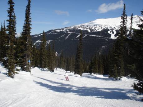 Pisteaanbod Pacific Coast Ranges – Pisteaanbod Whistler Blackcomb
