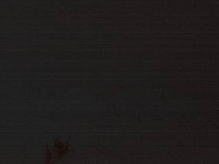 Cervinia - Chamois Colle Fontana Fredda