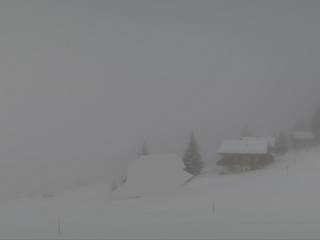 Biel Kinzig AG - Weissenboden