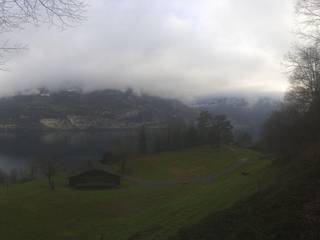 Rütli Mccardell GmbH