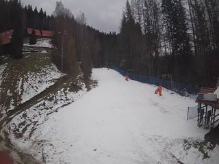 Wierchomla - Stonoga