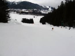 Skigebied Donovaly (Park Snow)