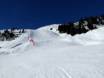 Skigebieden voor gevorderden en off-piste skiërs Alpen – Gevorderden, off-piste skiërs Saalbach Hinterglemm Leogang Fieberbrunn (Skicircus)
