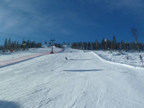 Skigebieden voor gevorderden en off-piste skiërs Duitse Middelgebergte – Gevorderden, off-piste skiërs Arber