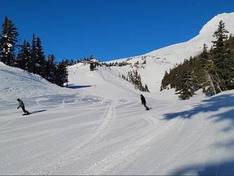 Video Mt. Hood Meadows