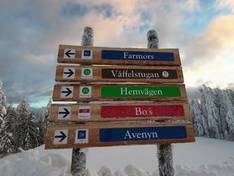 Video Romme Alpin