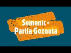 Video Semenic