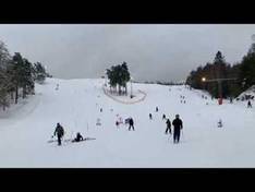 Video Arboga
