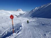 Golvende baan Kogel-Mogel