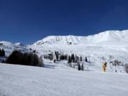 Uitzicht naar de Plansegg in Serfaus