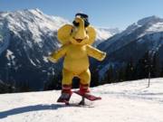 De ArenaFunt is de mascotte van de Zillertal Arena