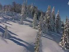 Video Brusnica – Fojnica