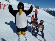 Tip voor de kleintjes - Oefenweide Sillian