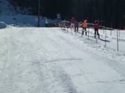 Oefenweide direct naast het dalstation