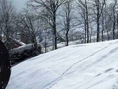 Video Habkern – Sattelegg