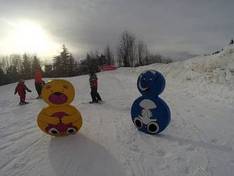 Video Turmkogel – Puchenstuben