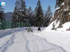 Video Wallberg – Rottach-Egern