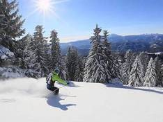Video Unterberg