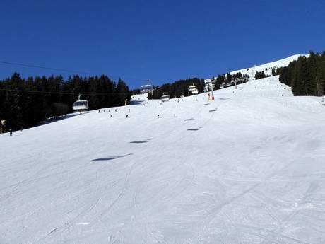 Pisteaanbod wereldwijd – Pisteaanbod Saalbach Hinterglemm Leogang Fieberbrunn (Skicircus)