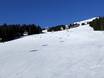 Pisteaanbod Alpen – Pisteaanbod Saalbach Hinterglemm Leogang Fieberbrunn (Skicircus)