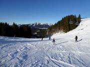 Lichte piste Autobahn met Sender Express
