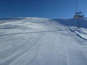 Eersteklas pistepreparatie