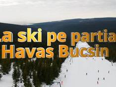Video Bucsin