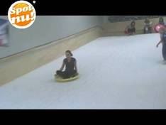 Video Delphindoorski – Ermelo