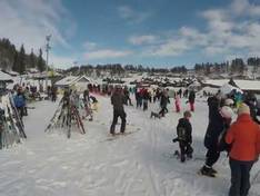Video Bortelid