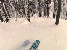 Video Dzikowiec – Boguszów-Gorce