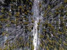 Video Green Mountain – Brush Creek Ranch