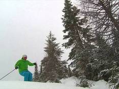 Video Bald Mountain